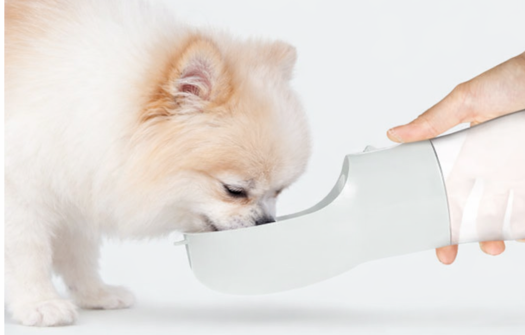 Portable Travel Water Bottle for Dogs (2-Pack)